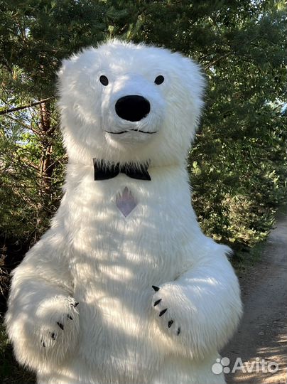 Поздравление от белого Мишки