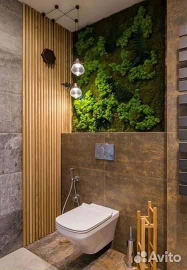 Мох стабилизированный ягель