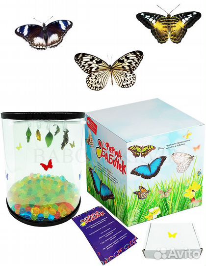 Ферма бабочек