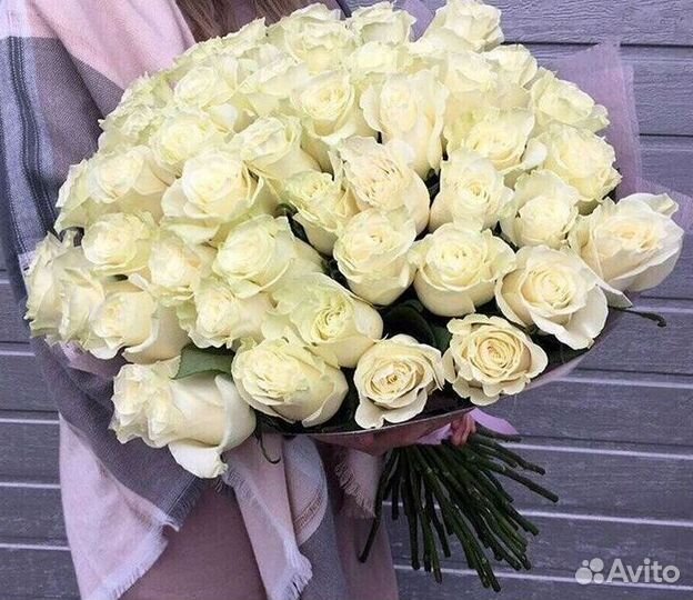 Высокие розы