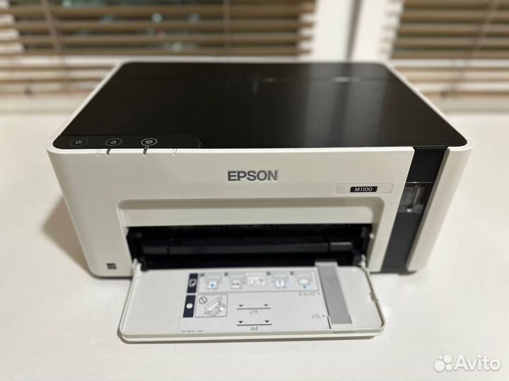 Принтер epson M1100