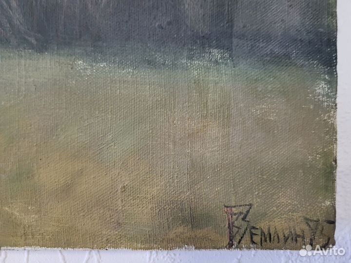 Картина художника Вениамин Землин
