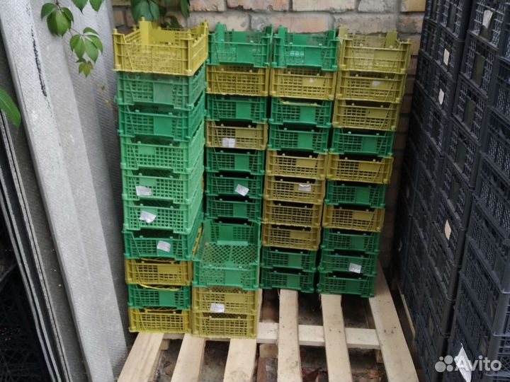 Ящик для хранения овощей