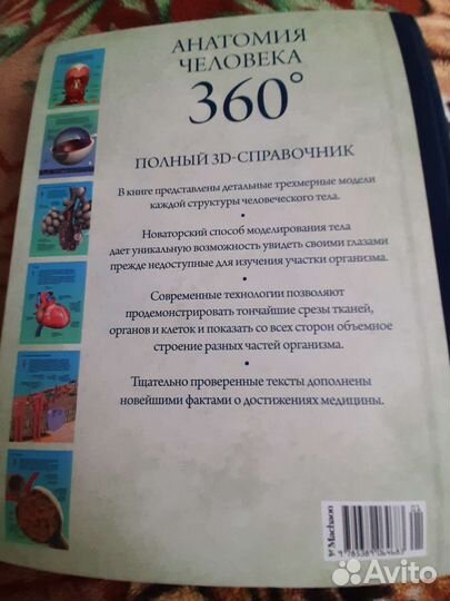 Анатомия человека 360