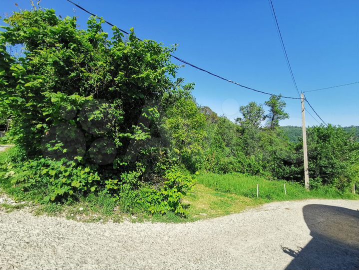 Участок 5,3 сот. (СНТ, ДНП)