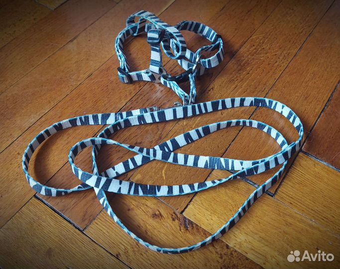 Шлейка, поводок и ошейник для домашних животных