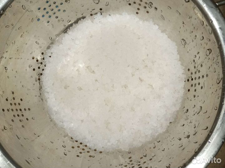 Индийский морской рис (гриб)