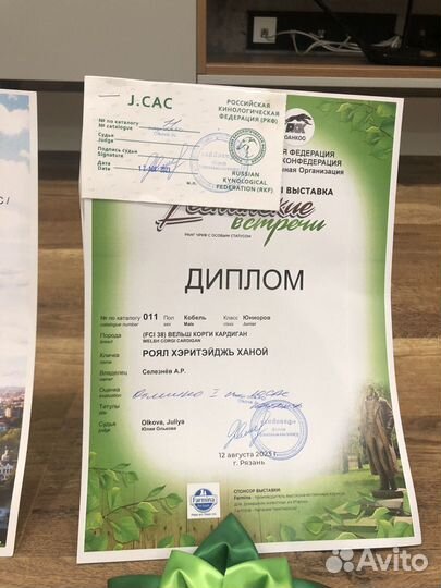 Корги кардиган вязка