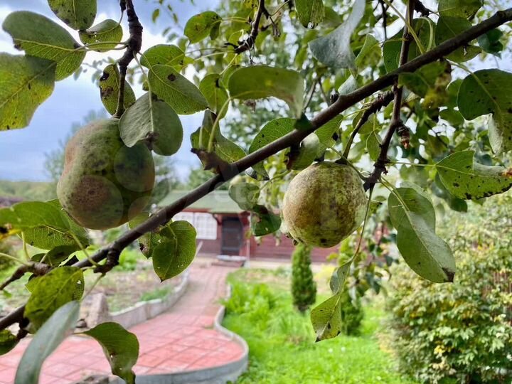 Дом 56 м² на участке 13 сот.