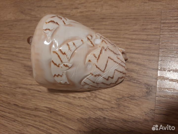 Ракушка большая с резьбой