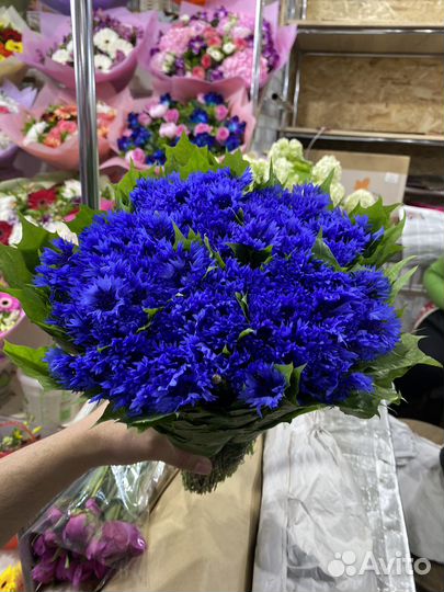 Васильки, букеты, цветы, ландыши, пионы, розы