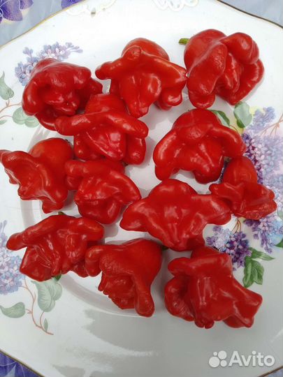 Семена острого перца Колокольчик