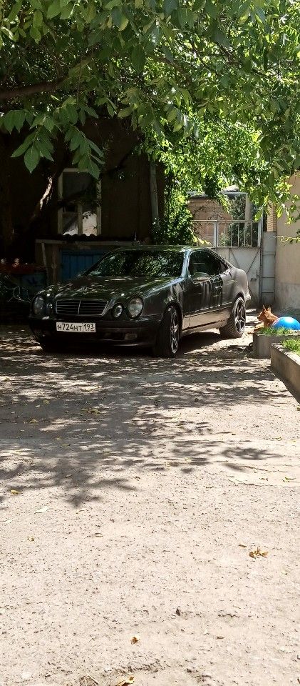 Mercedes-Benz CLK-класс: фото владельца