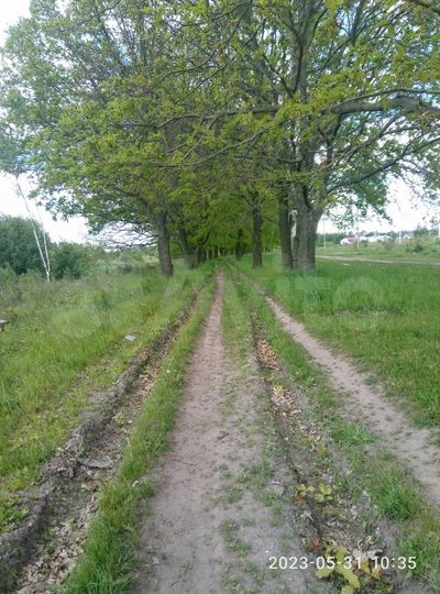 Участок 6,16 га (ИЖС)