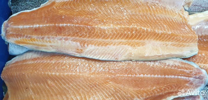 Форель охлажденная филе на коже