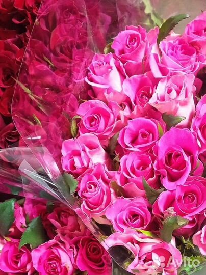 Крымская Роза,букеты.опт.пишите смс