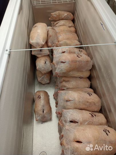 Продам мясо утки