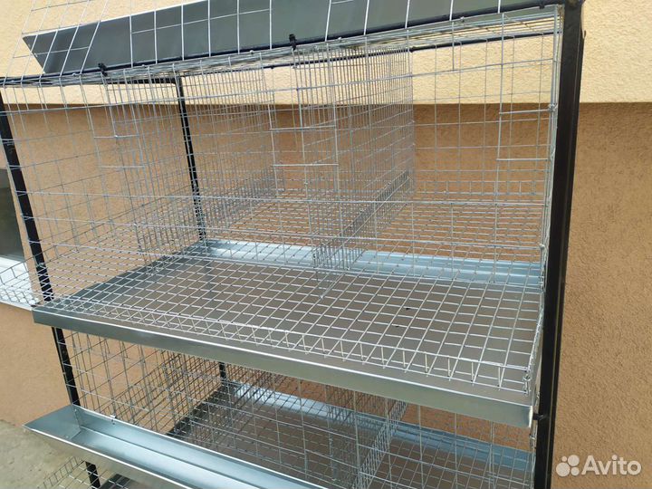 Клетки для кур-несушек