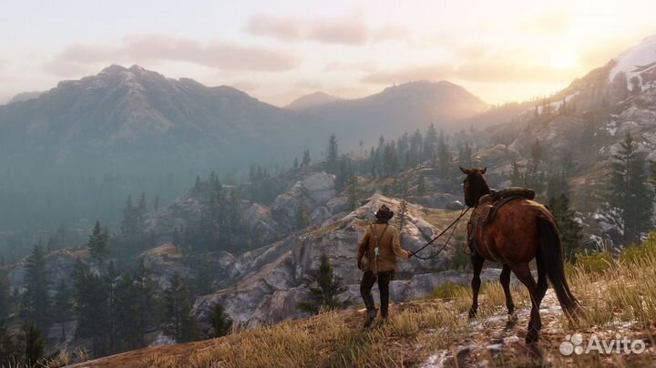 Red Dead Redemption 2 (PS4/PS5) Каменск-Шахтинский