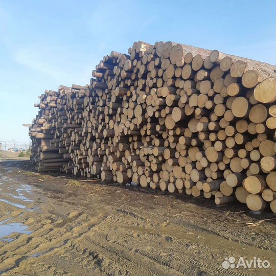 Лес кругляк пиловочник