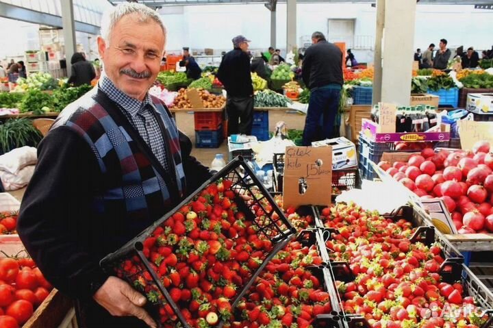 Тур в Узбекистан 2024