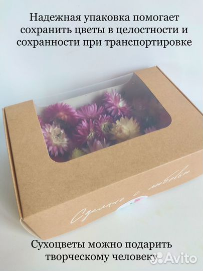 Сухоцветы для творчества