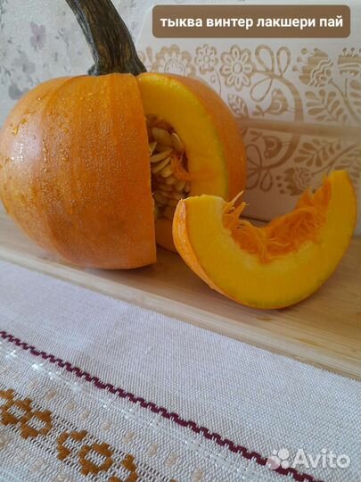 Тыква коллекционные семена