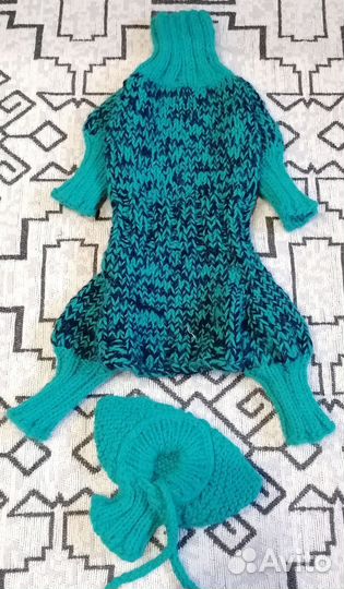 Одежда на собак