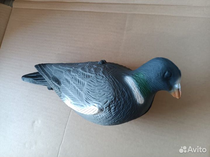 Голубь, вихарь