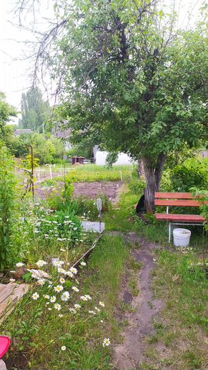 Дача 42 м² на участке 6 сот.