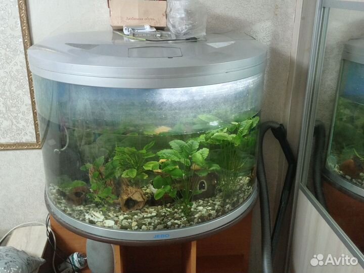 Аквариум