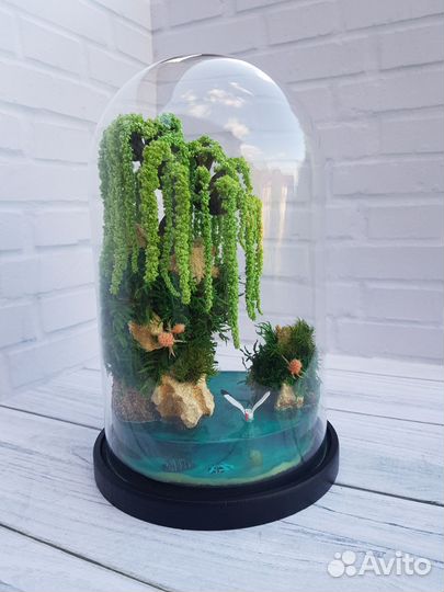 Моссариум в вазе 