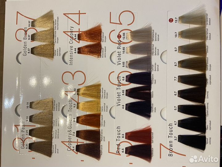 Раскладка цветовой палитры concept