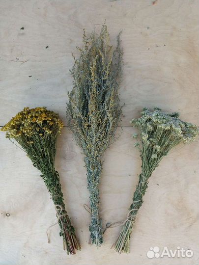 Веники для бани дубовые