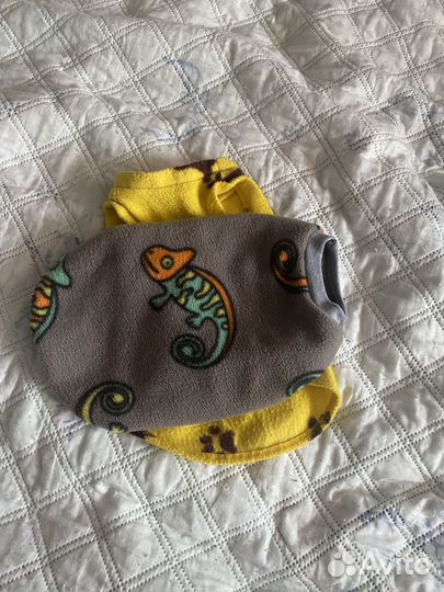 Одежда для собак мелких пород