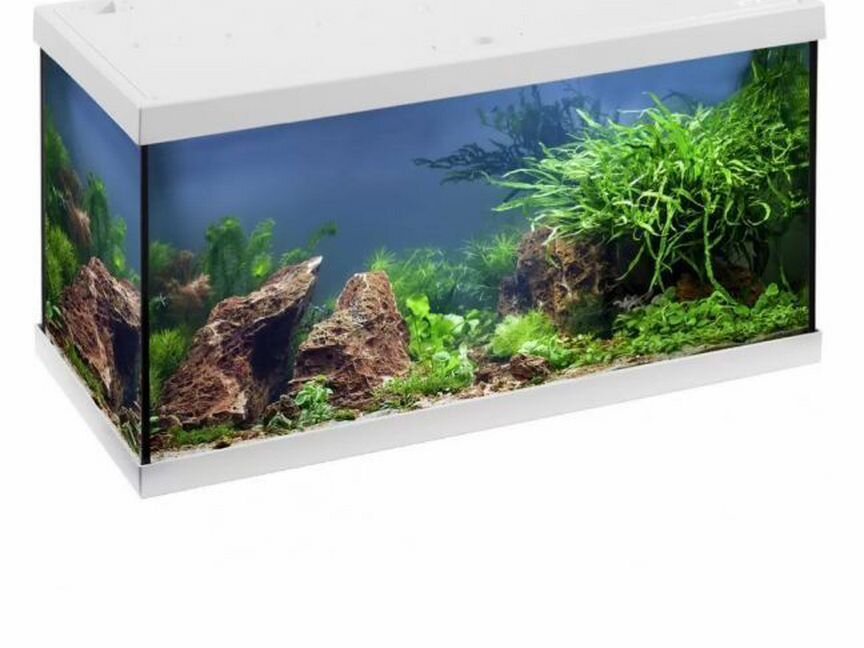 Eheim Aquastar 54 LED, белый, 54 л. Б/У