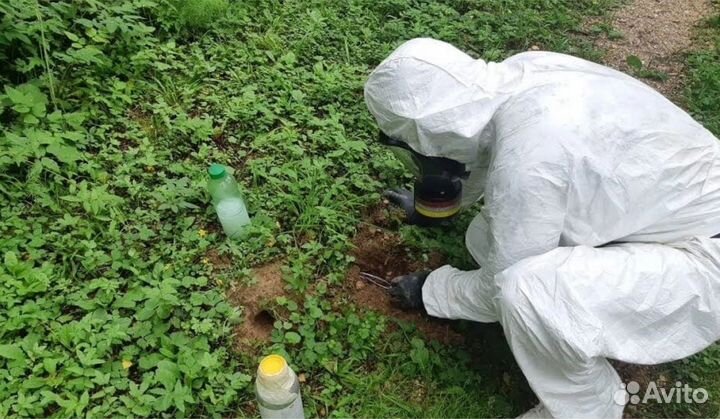 Уничтожение кротов клещей комаров ос борщевика