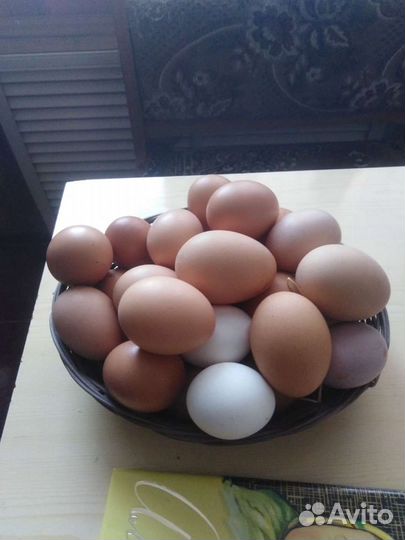 Яйцо куриное