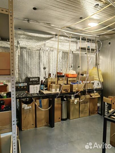 Магазин разливного пива под ключ