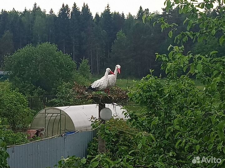 Садовые фигуры (аисты, фламинго, павлин, ослик)