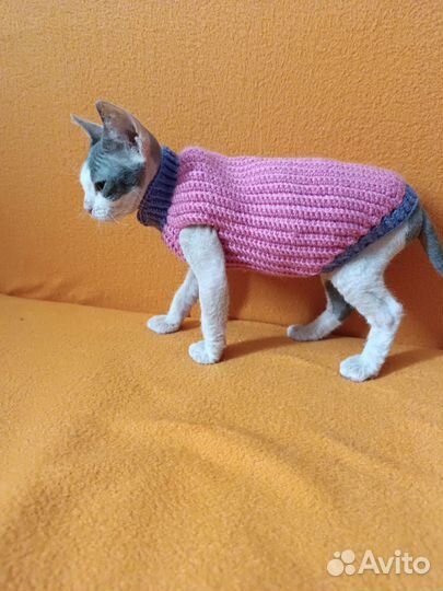 Одежда для кошек и собак