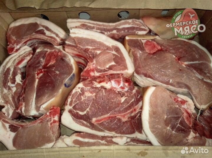 Мясо свинина
