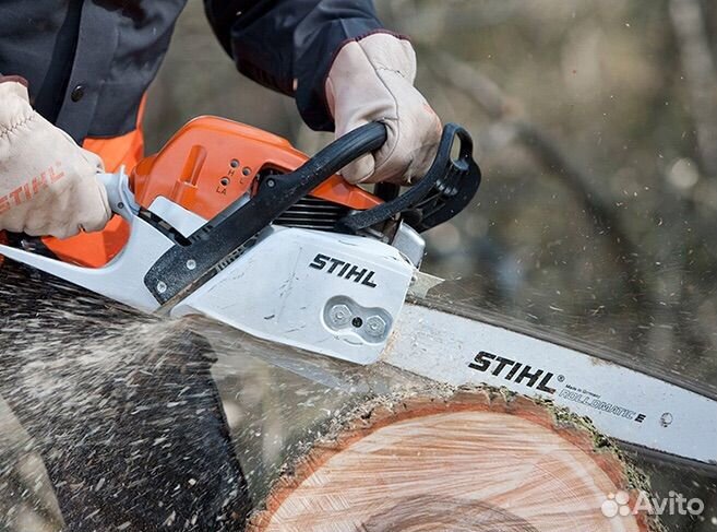 Спил деревьев