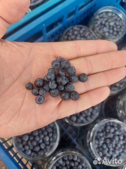 Черниго вкусные