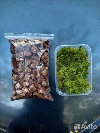 Кора сосны (мульча) и мох сфагнум для орхидей