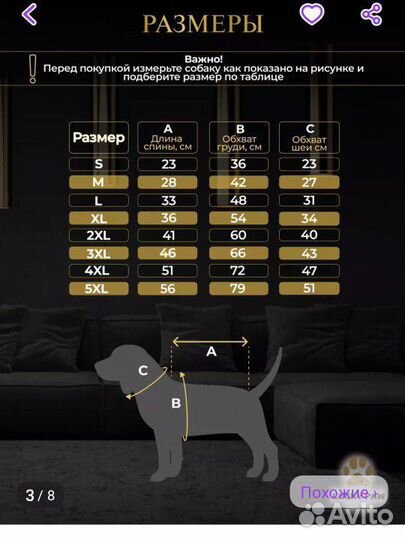 Одежда для собак