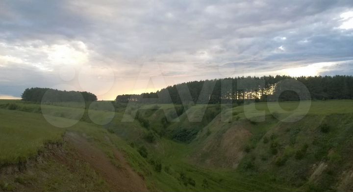 Участок 10 сот. (ИЖС)