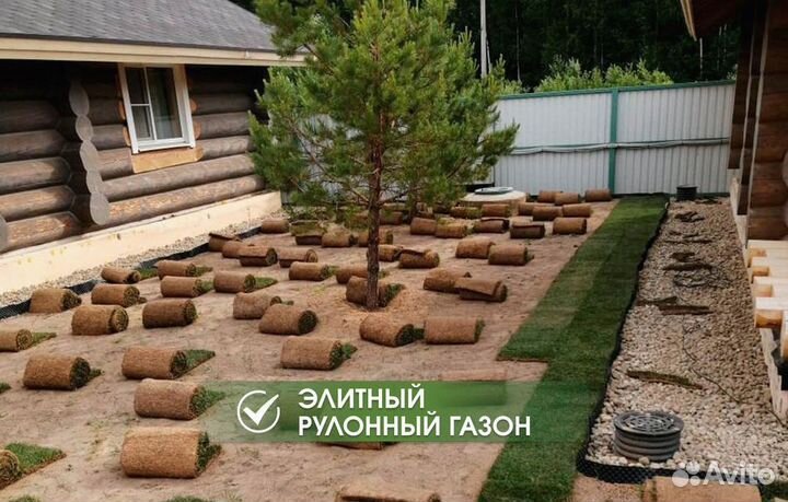 Рулонный газон с доставкой