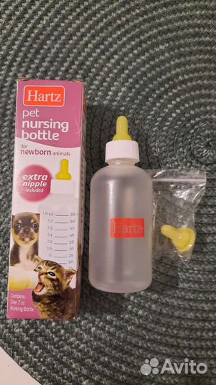 Бутылочка для кормления котят