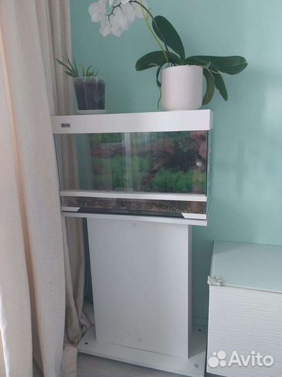 Террариум для сухопутной черепахи